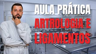 Principais articulações do Corpo e seus ligamentos  Aula prática no ANATÔMICO [upl. by Arndt368]