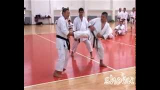 Shirai Sensei Seminar  Beograd 2012 [upl. by Tnilc]