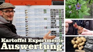 Katoffel Experimente Auswertung  Teil 2 von 2  Kartoffeln im Sack  im Kübel und im Beet [upl. by Novled]