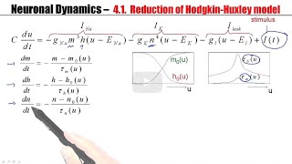 CNS41  From Hodgkin Huxley to 2D [upl. by Zeke119]