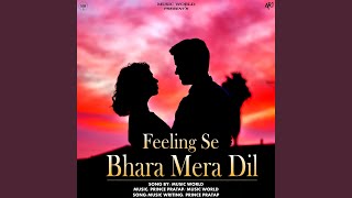 Feeling Se Bhara Mera Dil [upl. by Chiou]