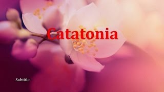 Psychiatry Lecture Catatonia [upl. by Oiligriv]