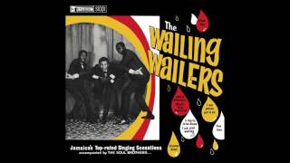 The Wailing Wailers  quotSimmer Downquot Official Audio [upl. by Teuton]