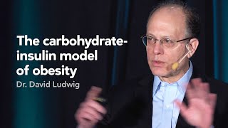 Preview The carbohydrateinsulin model of obesity — Dr David Ludwig [upl. by Allets742]