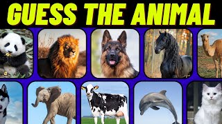 Guess THE Animals GUESS 120 Animals [upl. by Reginauld564]