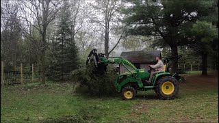 Pine and Cherry Tree Removal [upl. by Finah]