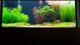 Aqua tank scaping by N30 [upl. by Lani418]