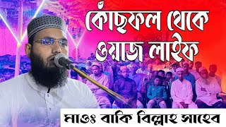 কোঁছফল জুম্মা মাসজিদ থেকে মাওঃ বাকিবিল্লা সাহেব ওয়াজ লাইফ tur Pahar Media [upl. by Asante]