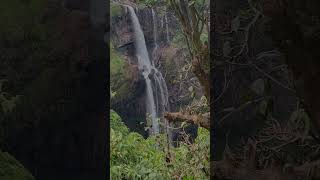 Mahabaleshwar Tapola getaway Shivsagar Agrotourism shortsfeed shorts youtubeshorts [upl. by Jeanelle255]