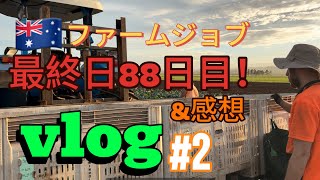 【オーストラリアワーホリ】ファームジョブ最終日vlog [upl. by Nilkoorb390]