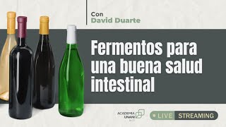 FERMENTOS PARA UNA BUENA SALUD INTESTINAL [upl. by Clardy]