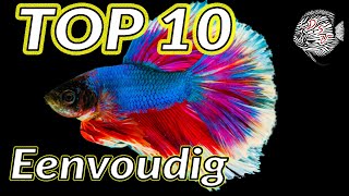 Top 10 EENVOUDIGE aquarium vissen  Aquarium Sunshine Valley [upl. by Chao]