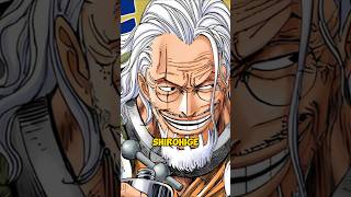 RAYLEIGH ❗❓ GA DATANG SELAMATKAN ACE [upl. by Valentia]