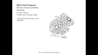 BIOL 2010 Chapter 6 Part 2 [upl. by Naga507]