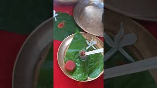 Natural Fragrance  Chemical Free  Javadhu Powder  How to use [upl. by Aliab]