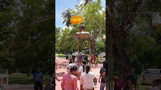 Merit Ceremony only in Southern Thailand Children climb to distribute offerings to Village people [upl. by Elbag]