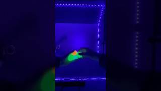 Glow in the Dark Sticky Balls that Stick to the Ceiling shorts youtube bestproducttopurchase [upl. by Irama425]