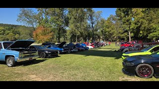 10052024 Ozarks Down Syndrome Awareness show n shine [upl. by Efron]