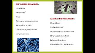 Useful amp Harmful Microbes Part 1 [upl. by Jurkoic]