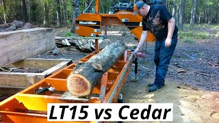 Cedar on the Portable Sawmill LT15 vs Cedar Log [upl. by Monk]