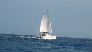 Privilege 37 catamaran sailing [upl. by Nathaniel]