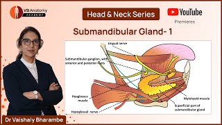 Submandibular Gland 1 Anatomy Unveiled with Dr Vaishaly Bharambe [upl. by Heinrich]