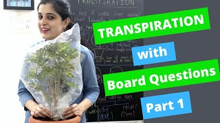 Transpiration Class 10 ICSE CBSE Biology with Board Questions Chapter 5 Types of Transpiration DRUB [upl. by Enyedy537]