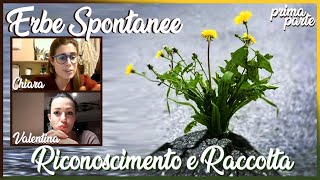 17 RICONOSCIMENTO e RACCOLTA di ERBE SPONTANEE con Valentina Agostinelli e Chiara Castelli parte 1 [upl. by Adyam836]