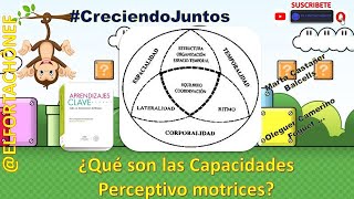 Capacidades Perceptivo motrices ELFORTACHONEF  Muy importante para todos los Docentes [upl. by Hallie]