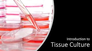 Introduction to Cell Culture [upl. by Corbin]