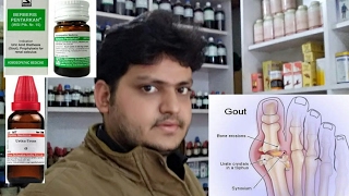 goutincreased uric acid and homeopathic medicine explain [upl. by Haag]