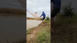 Traditional Net Fishing Method That Still Works in 2024 [upl. by Byron]