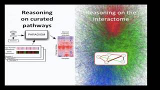 16 Protein Interaction Networks [upl. by Jackson155]