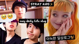 jisung loving hours are open SKZ VLOG HAN  아늑한 일상로그 cosy daily life vlog REACTION [upl. by Navannod60]