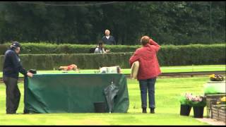 Quixand Fallout Boy Finale Whippet B Reuen Beringen Gouden haas 2012 [upl. by Tuttle417]