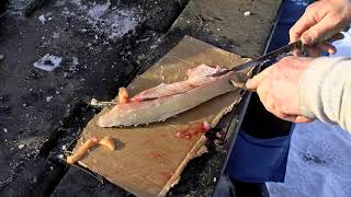 How to Boneless Northern Pike Fillets [upl. by Adranoel]