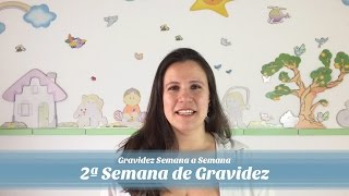 2ª Semana de gravidez [upl. by Apurk]