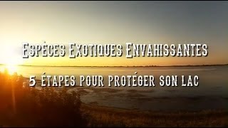 Espèces exotiques envahissantes  5 étapes pour protéger son lac [upl. by Haelhsa]