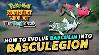 Pokemon Scarlet amp Violet How to evolve BASCULIN into BASCULEGION  The Teal Mask DLC [upl. by Adarbil]