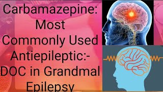 Carbamazepine Pharmacology Anticonvulsant Mechanism of action Uses and ADR CNS pharmacology [upl. by Anomis]