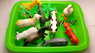 Cow Giraffe Elephant Tiger Panda Rhinoceros  Animal Toys Asmr [upl. by Nedroj]