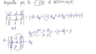 Determinante 3x3 Desarrollo por una fila [upl. by Ecirtahs100]