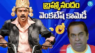 Namo Venkatesa Movie Back to Back Comedy Venkatesh Trisha Brahmanandam Ali idreamteluguworld [upl. by Avaria331]