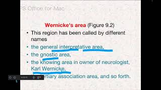 FUNCTIONS OF THE SPECIFIC CORTICAL AREASPART3 [upl. by Risa]