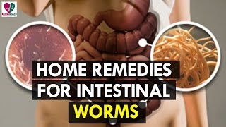 Home Remedies for Intestinal Worms  Health Sutra [upl. by Lin]