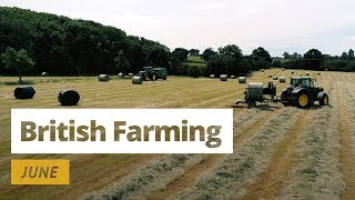 British Farming  12 Months On A UK Farm June [upl. by Notkcorb]