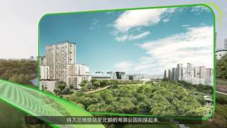 Remaking Our Heartland Woodlands English Voiceover Mandarin Subtitles [upl. by Burgess]