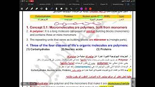 chapter5macromoleculespart 1 [upl. by Lachlan]