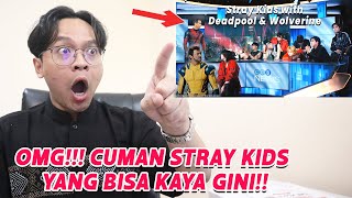 Stray Kids quotChk Chk Boomquot MV REACTION [upl. by Audun875]