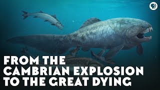 From the Cambrian Explosion to the Great Dying [upl. by Rebmeced]